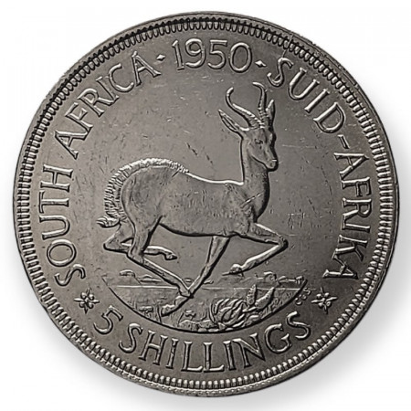 1950 * 5 Shillings Plata Sudàfrica "King George VI" (KM 40.1) MBC/EBC