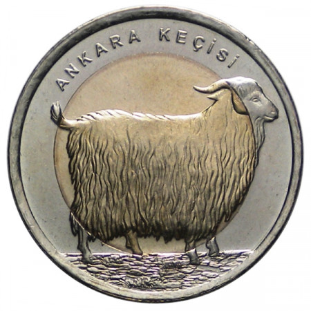 2015 * 1 Lira Turquía "Cabra de Angora"