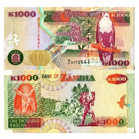 2001 * Billete Zambia 1000 Kwacha "Fish Eagle" (p40b) SC