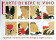 Anos '90 ca * Cartel  "Ilustración L'Arte di Bere Il Vino - MARTIN, Bisogna Saperlo Bere" (A)